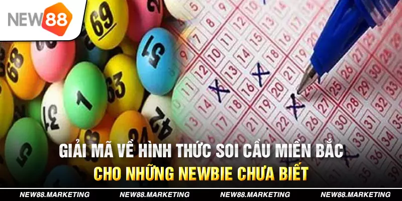 hello88 vina xổ số tây ninh