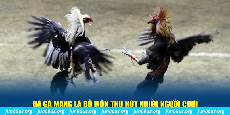 hello88 vina bắn cá au88