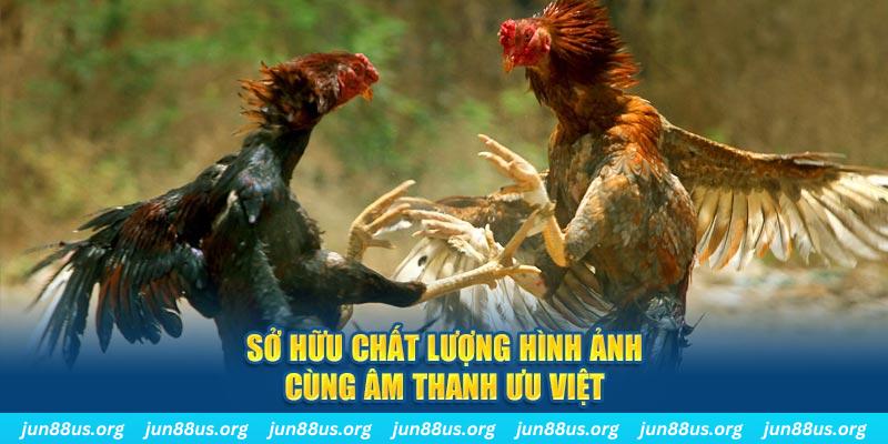 hello88 vina PP Điện Tử