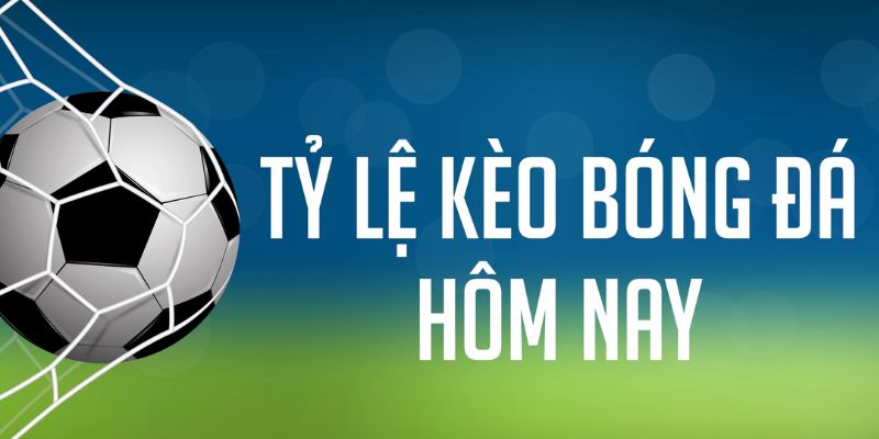 hello88 vina gà chọi c1 mới nhất