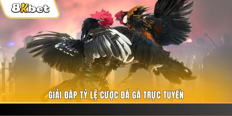 hello88 vina xổ số đài miền trung