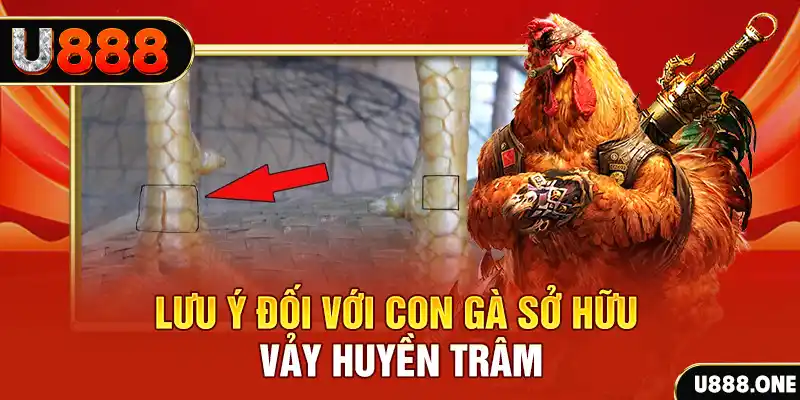 hello88 vina kết quả xổ số miền nam hôm nay