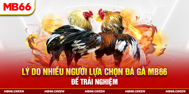 hello88 vina xổ số miền bắc thứ bảy hàng tuần