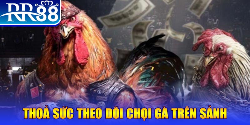 hello88 vina trực tiếp đá gà c1