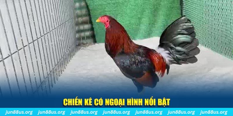 hello88 vina game nổ hũ là gì