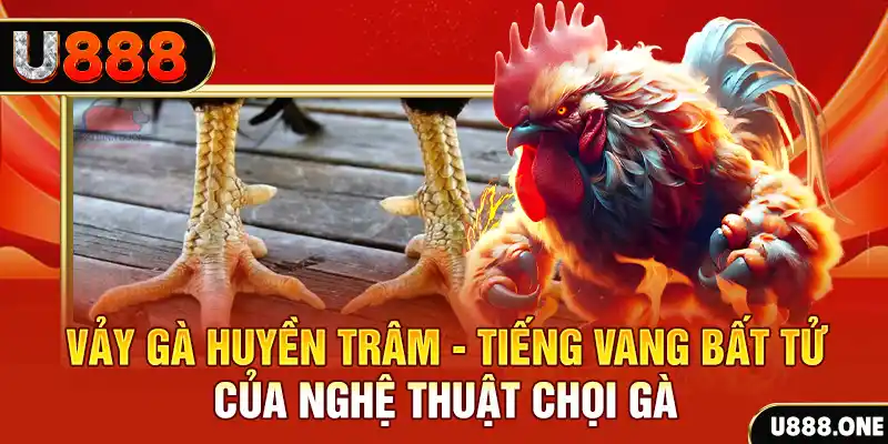 hello88 vina xổ số miền bắc ngày hôm nay