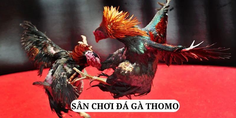 hello88 vina trực tiếp xổ số miền bắc